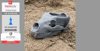 Gray 3D-printed grizzly bear skull replica lying on sandy ground.