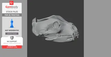 A detailed 3D model of a grizzly bear skull, side view, for 3D printing.