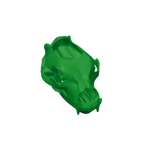 Grizzly Bear Skull.3mf