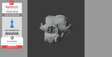 3D model of a grizzly bear skull, featuring detailed teeth and bone structure.