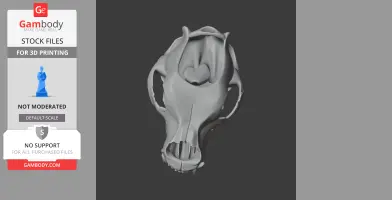 3D model of a grizzly bear skull viewed from above, designed for 3D printing.