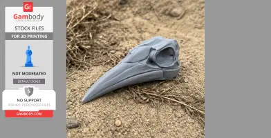Ground Hornbill Skull - Skull Replica STL