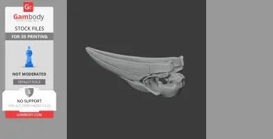 Ground Hornbill Skull - Skull Replica STL