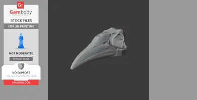 Ground Hornbill Skull - Skull Replica STL