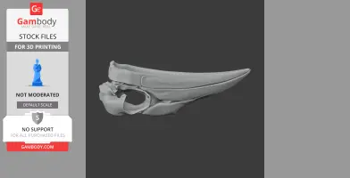 Ground Hornbill Skull - Skull Replica STL