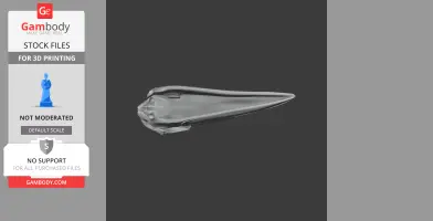 Ground Hornbill Skull - Skull Replica STL
