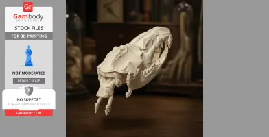 A 3D-printed gymnure skull replica, detailed and suspended against a blurred background.