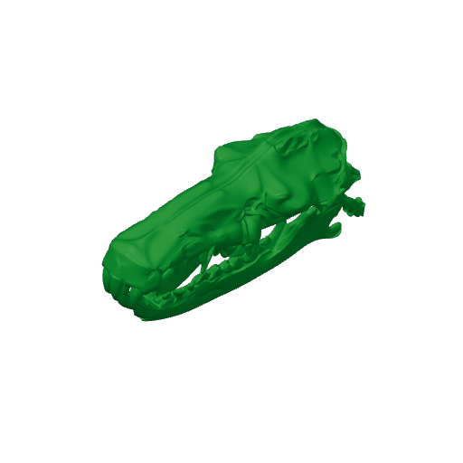 Gymnure Skull.3mf