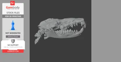 3D model of a gymnure skull, detailed and open-mouthed, designed for 3D printing.