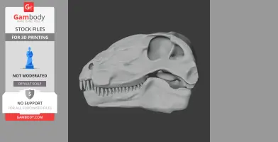 Dimetrodon Skull - Skull Replica STL