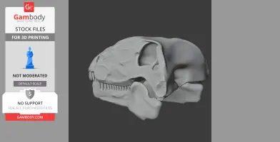 Dimetrodon Skull - Skull Replica STL