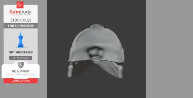 Dimetrodon Skull - Skull Replica STL