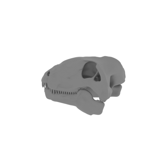 Dimetrodon Skull.stl
