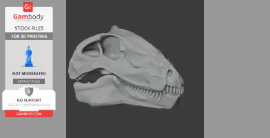 Dimetrodon Skull - Skull Replica STL