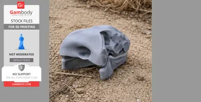Dimetrodon Skull - Skull Replica STL