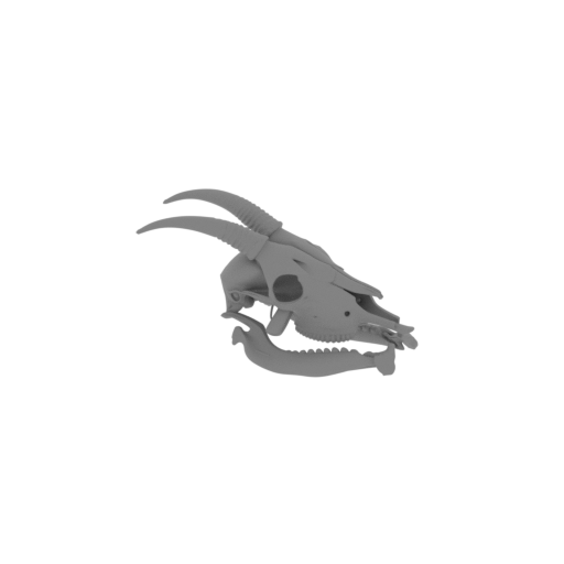 Goral Skull.stl