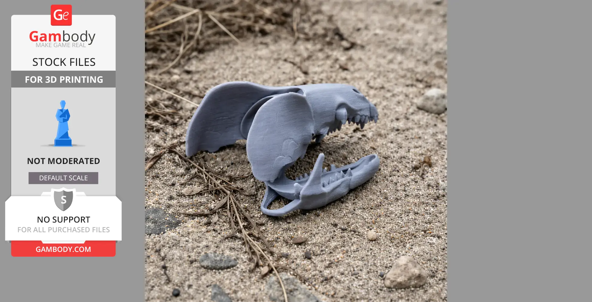 3D printed greater white-toothed shrew skull replica on sandy ground.