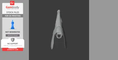 3D model of a Greater White-toothed Shrew skull, viewed from the front, for 3D printing.