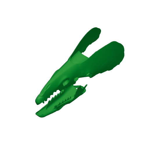 Greater White-toothed Shrew Skull.3mf