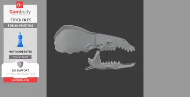 3D model of a Greater White-toothed Shrew skull, showing upper and lower jaws separately.