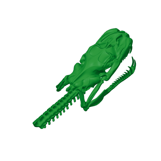Green Tree Python Skull.3mf