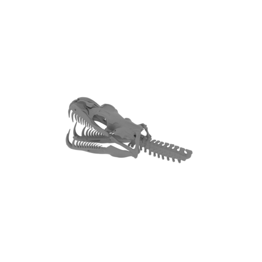 Green Tree Python Skull.stl