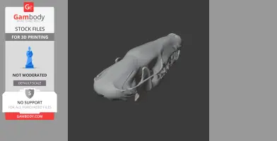 3D model of a hairy-tailed mole skull, suitable for 3D printing from Gambody.