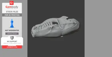 3D model of a Hairy-tailed Mole skull, detailed view for 3D printing.
