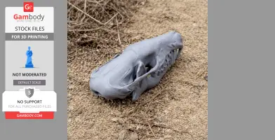 3D-printed hairy-tailed mole skull replica on sandy ground.