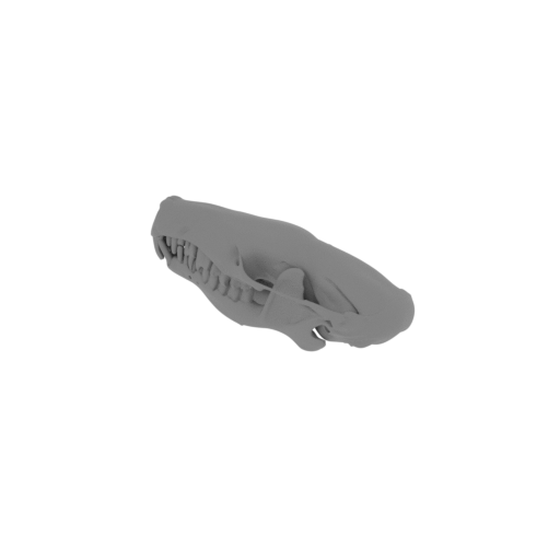 Hairy-tailed Mole Skull.stl