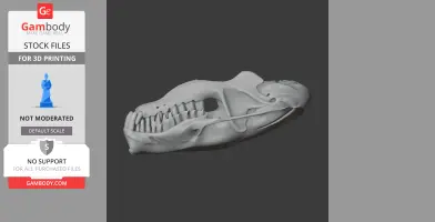 3D model of a hairy-tailed mole skull, detailed for 3D printing, side view.