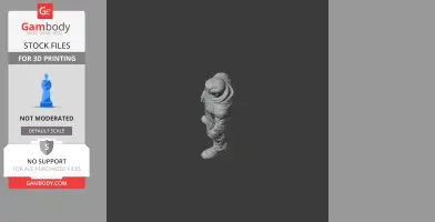 A 3D model of a soldier in armor with tactical gear, prepared for 3D printing.