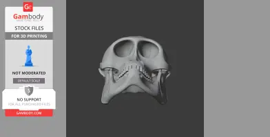 Hanuman Langur Skull - Skull Replica STL