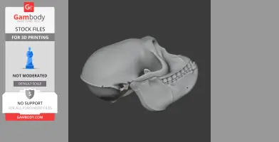 Hanuman Langur Skull - Skull Replica STL