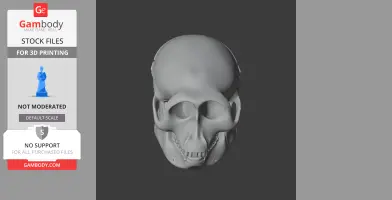 Hanuman Langur Skull - Skull Replica STL