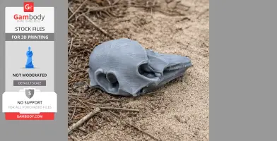 Harbor Porpoise Skull - Skull Replica STL