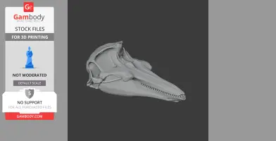 Harbor Porpoise Skull - Skull Replica STL