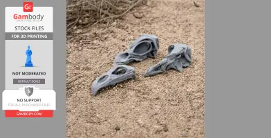 3D-printed Haast's Eagle skull replicas on sandy ground, showcasing intricate details.