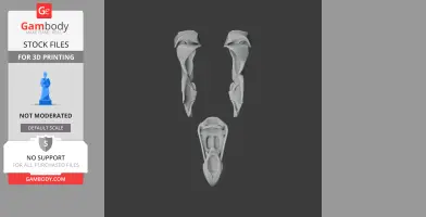 3D model of Haast's Eagle skull parts, front and side views for printing.