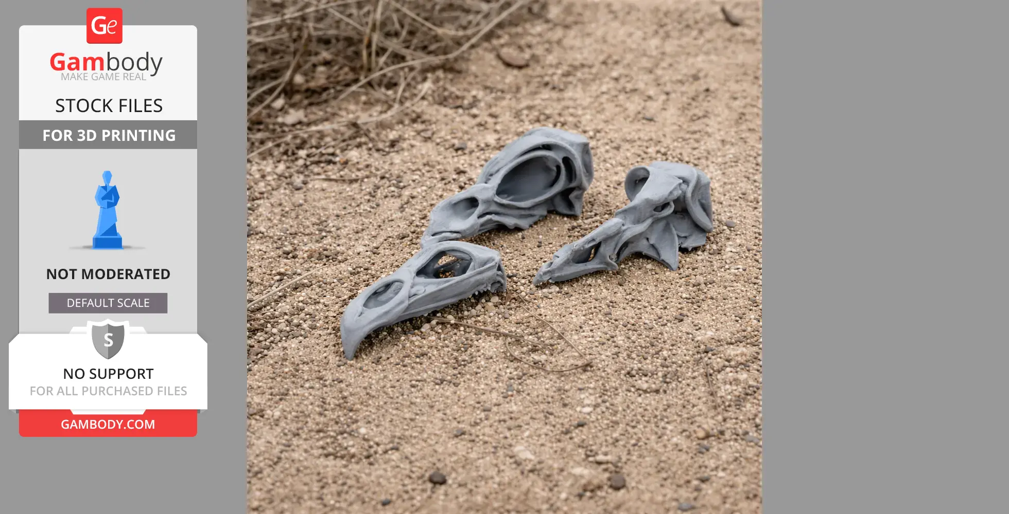3D-printed Haast's Eagle skull replicas on sandy ground, showcasing intricate details.