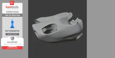 Hawksbill Turtle Skull - Skull Replica STL