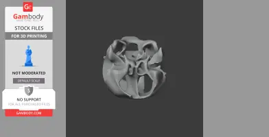 Hawksbill Turtle Skull - Skull Replica STL