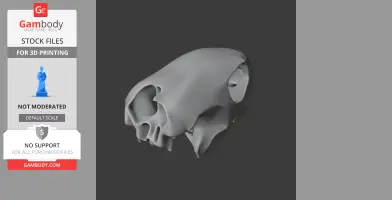 Hawksbill Turtle Skull - Skull Replica STL
