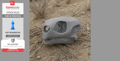 Hawksbill Turtle Skull - Skull Replica STL