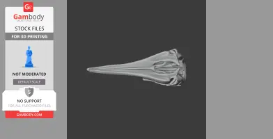 3D model of a Hector's dolphin skull, viewed from a side angle.