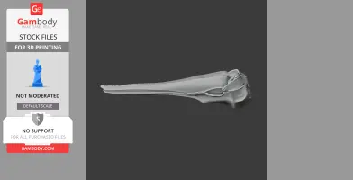 3D model of a Hector's dolphin skull, side view on a dark background.