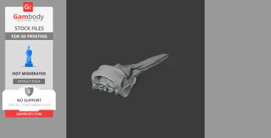 3D model of a Hector's dolphin skull replica for 3D printing.