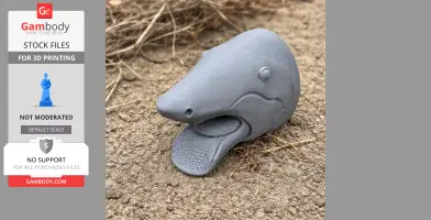 Helicoprion Skull - Skull Replica STL