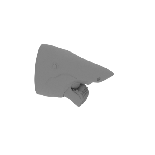 Helicoprion Skull.stl