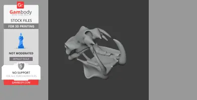 Hippopotamus Skull - Skull Replica STL